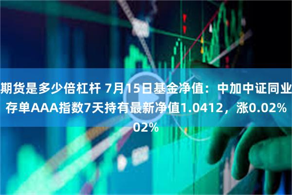 期货是多少倍杠杆 7月15日基金净值：中加中证同业存单AAA指数7天持有最新净值1.0412，涨0.02%